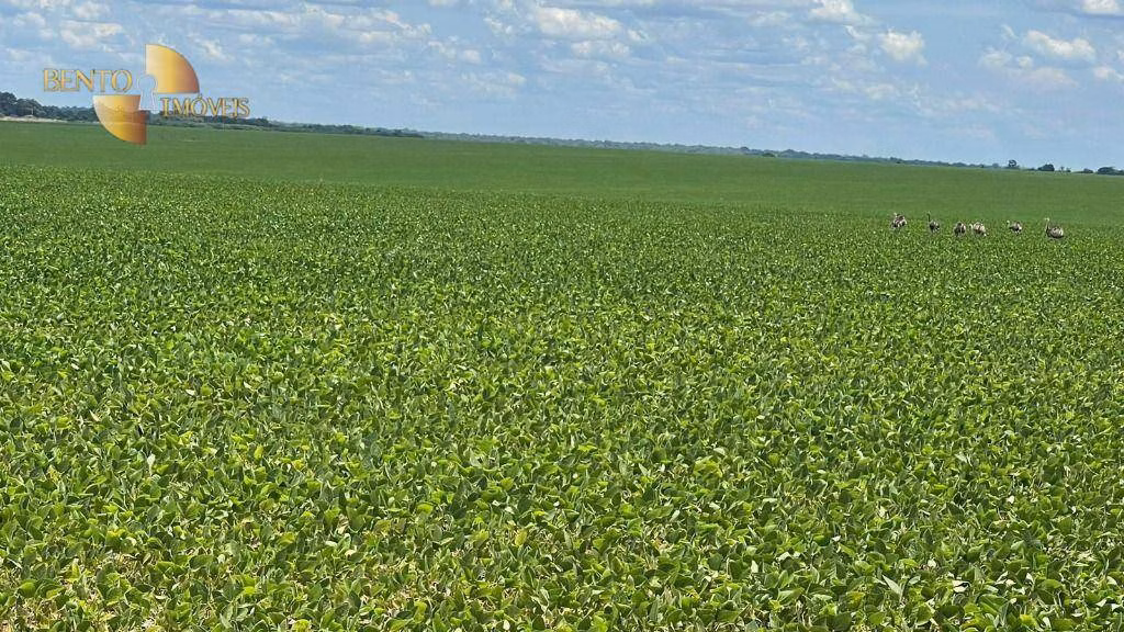 Fazenda de 3.600 ha em Ipiranga do Norte, MT