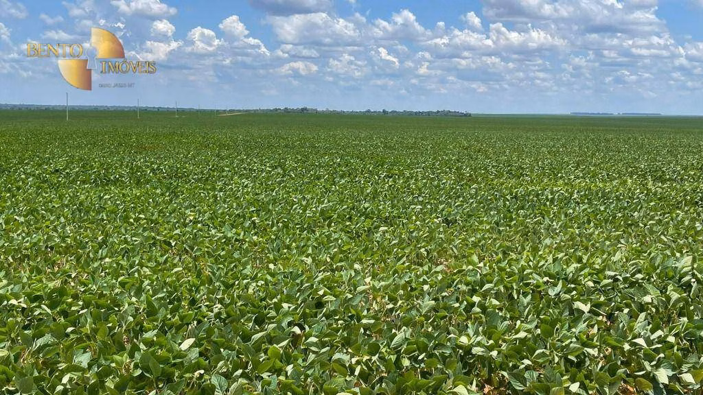 Fazenda de 3.600 ha em Ipiranga do Norte, MT