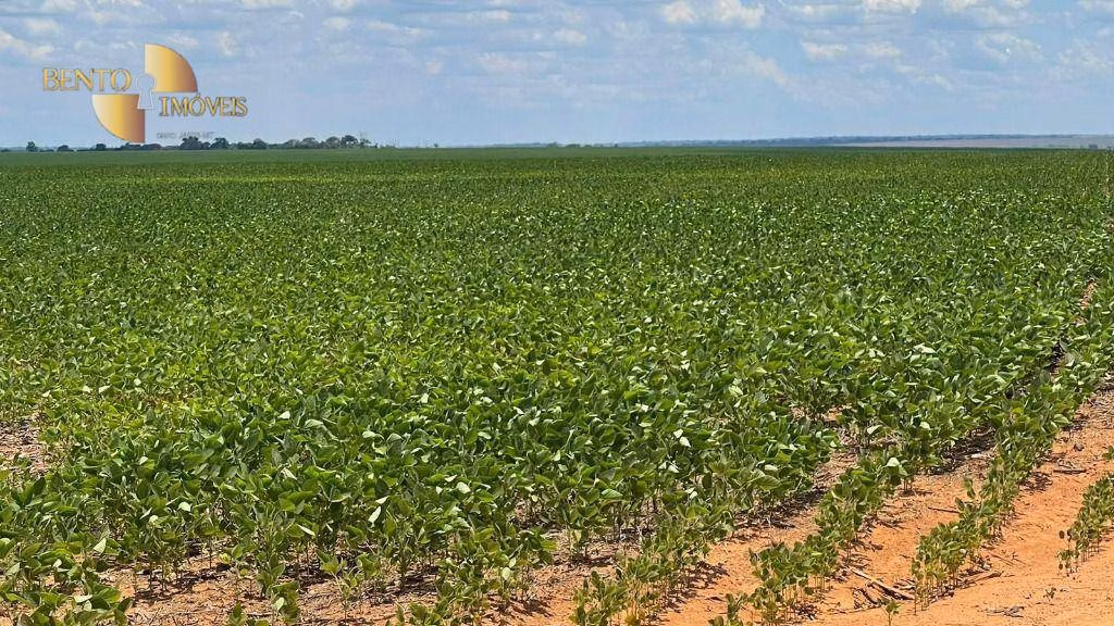 Fazenda de 3.600 ha em Ipiranga do Norte, MT