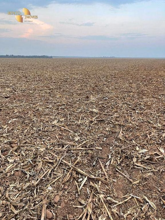 Fazenda de 3.600 ha em Ipiranga do Norte, MT
