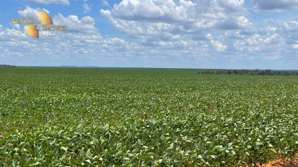 Fazenda de 3.600 ha em Ipiranga do Norte, MT