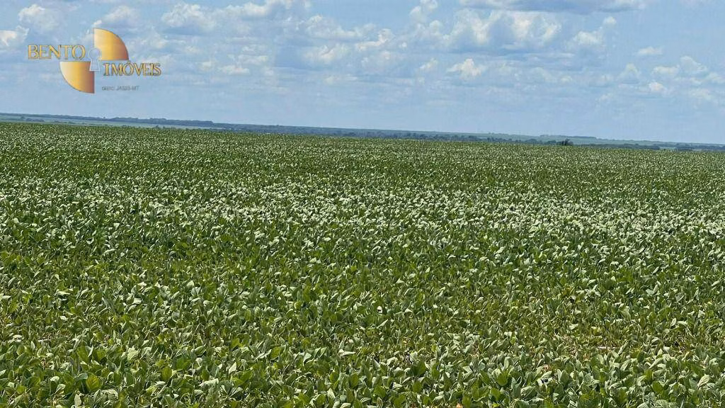 Fazenda de 3.600 ha em Ipiranga do Norte, MT