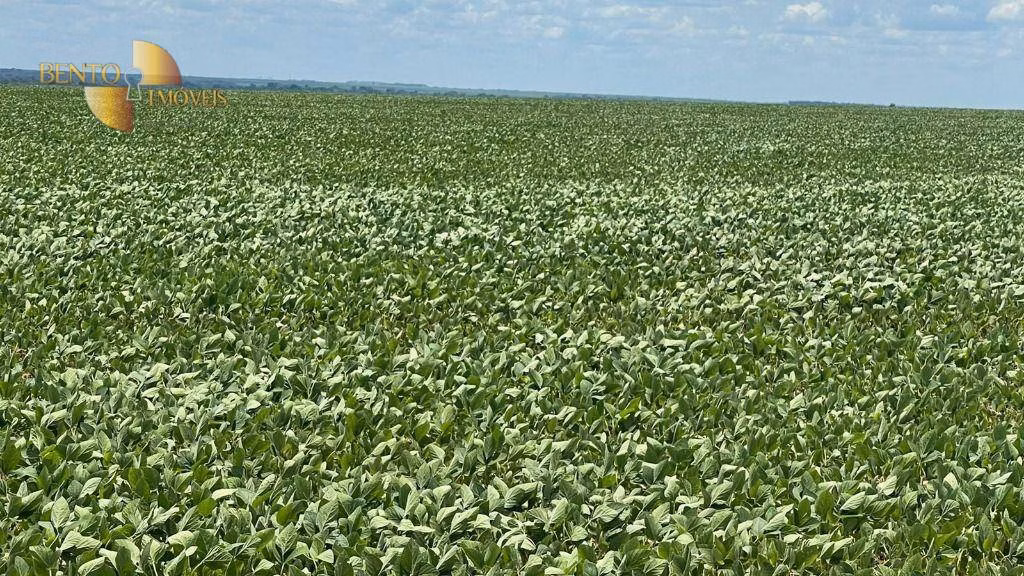 Fazenda de 3.600 ha em Ipiranga do Norte, MT