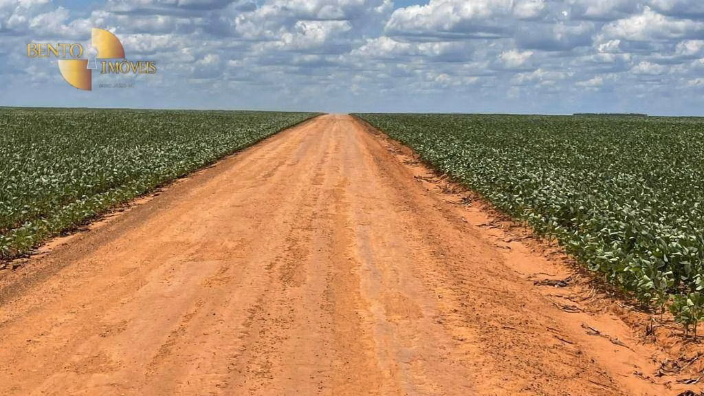 Fazenda de 3.600 ha em Ipiranga do Norte, MT
