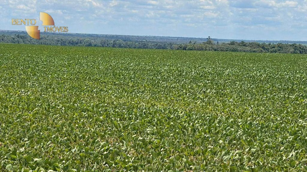 Fazenda de 3.600 ha em Ipiranga do Norte, MT