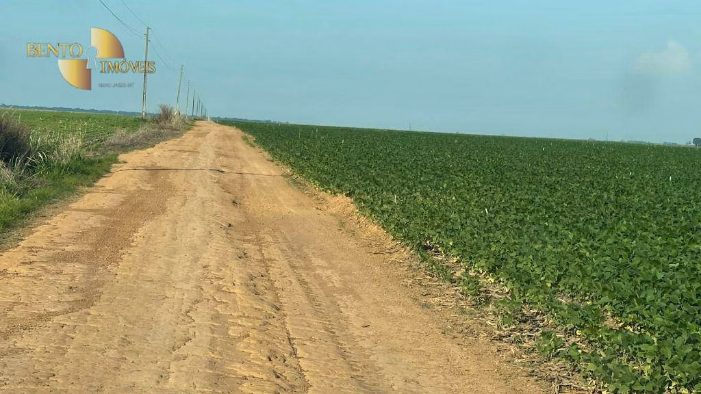 Fazenda de 3.600 ha em Ipiranga do Norte, MT