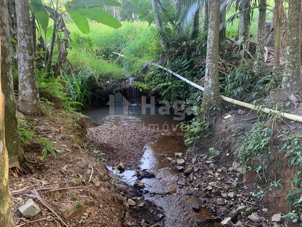 Farm of 1 acres in Tijucas, SC, Brazil