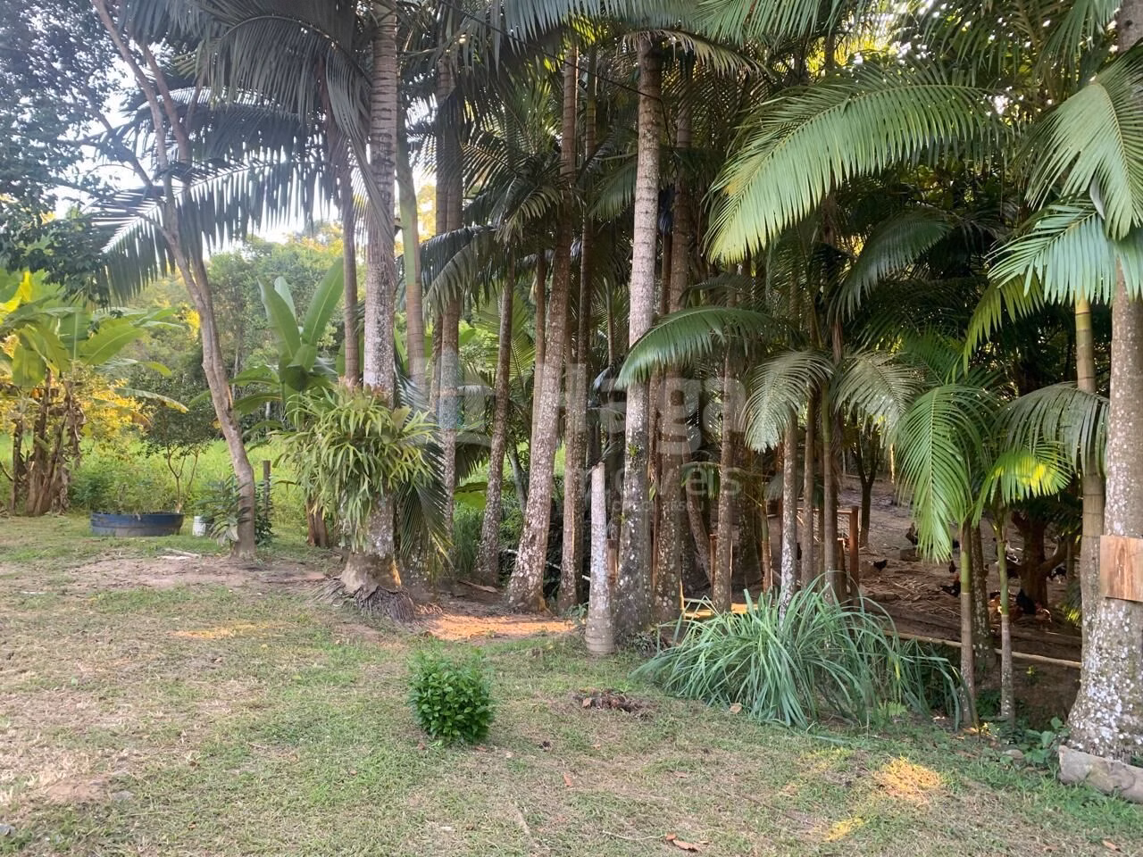 Farm of 1 acres in Tijucas, SC, Brazil