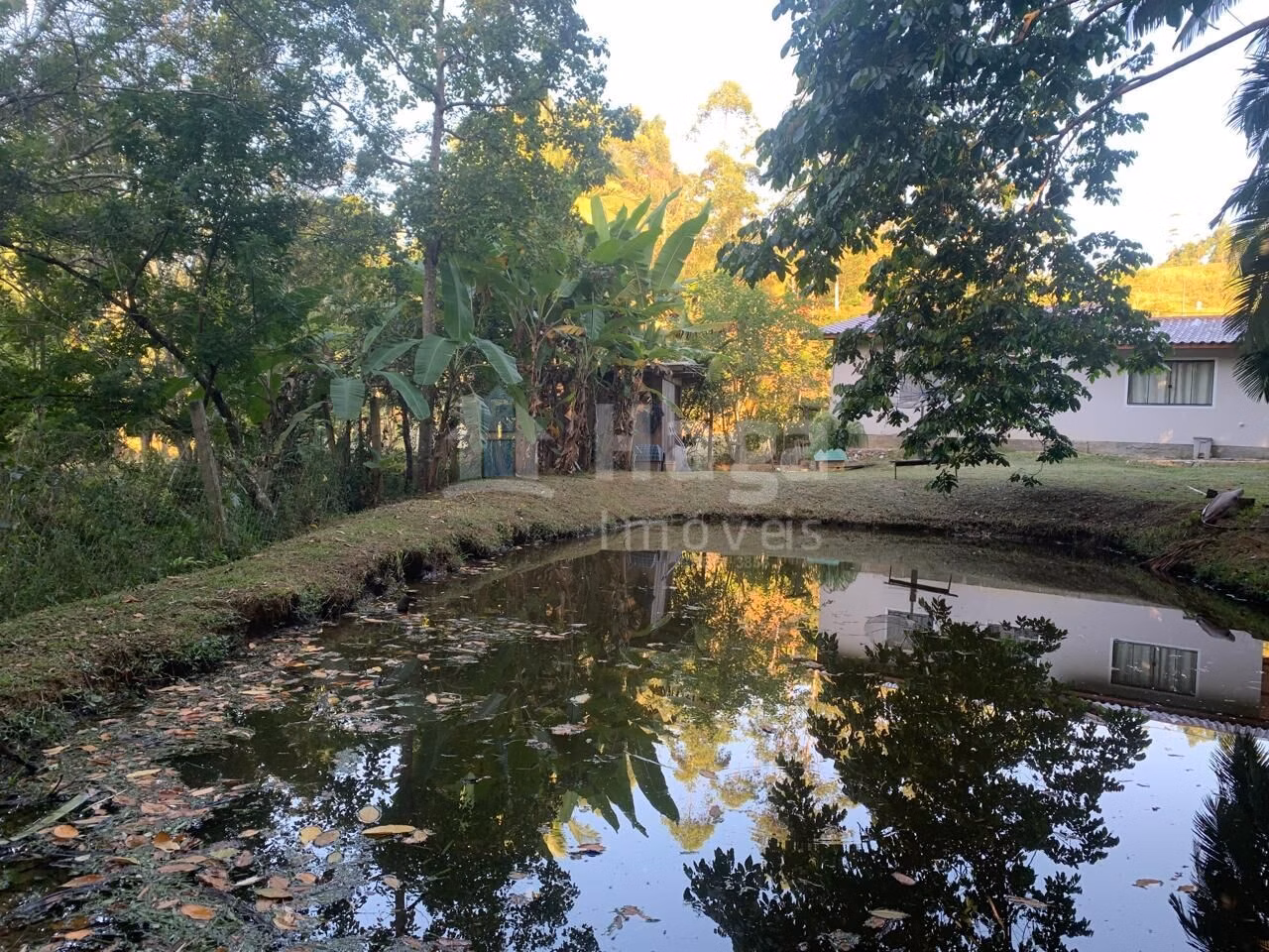 Farm of 1 acres in Tijucas, SC, Brazil