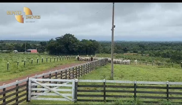 Farm of 713 acres in Rosário Oeste, MT, Brazil