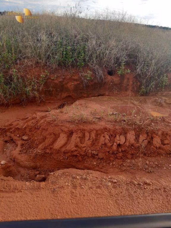 Fazenda de 2.043 ha em Tapurah, MT
