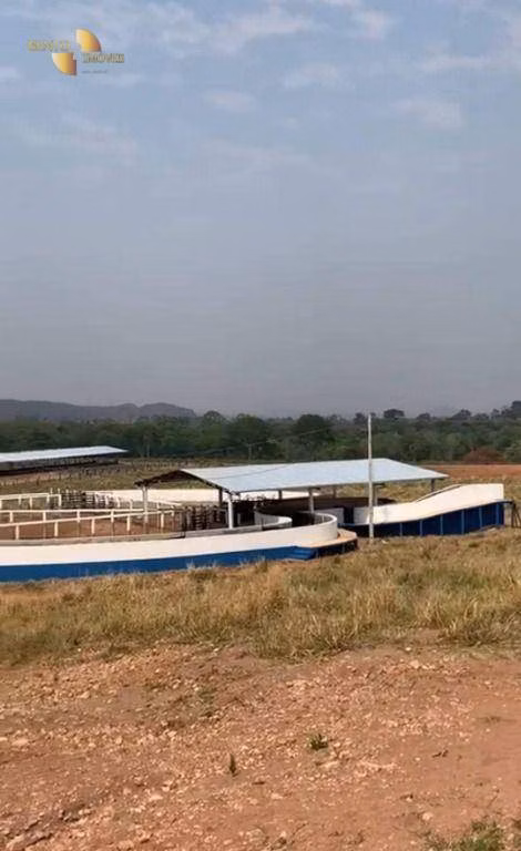 Fazenda de 1.160 ha em Primavera do Leste, MT