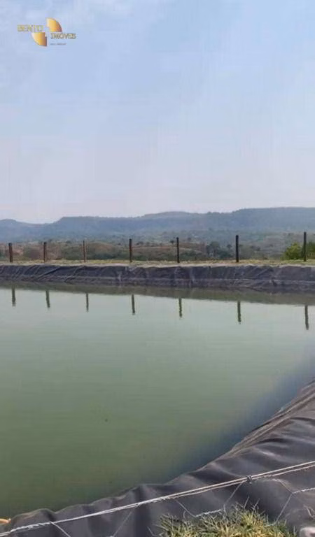 Fazenda de 1.160 ha em Primavera do Leste, MT