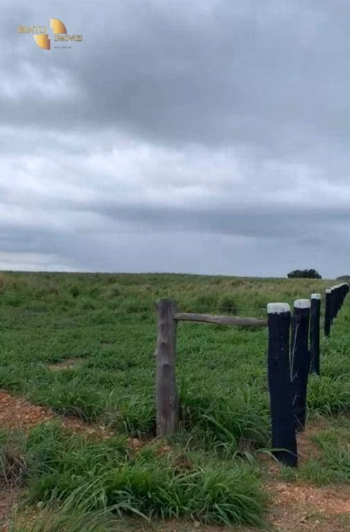 Fazenda de 1,160 ha em Primavera do Leste, MT