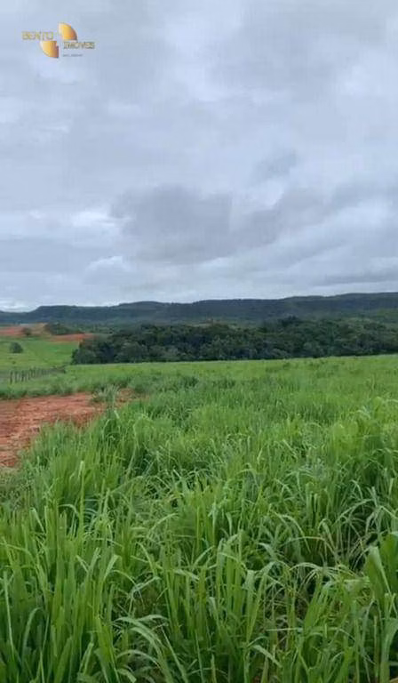 Fazenda de 1.160 ha em Primavera do Leste, MT
