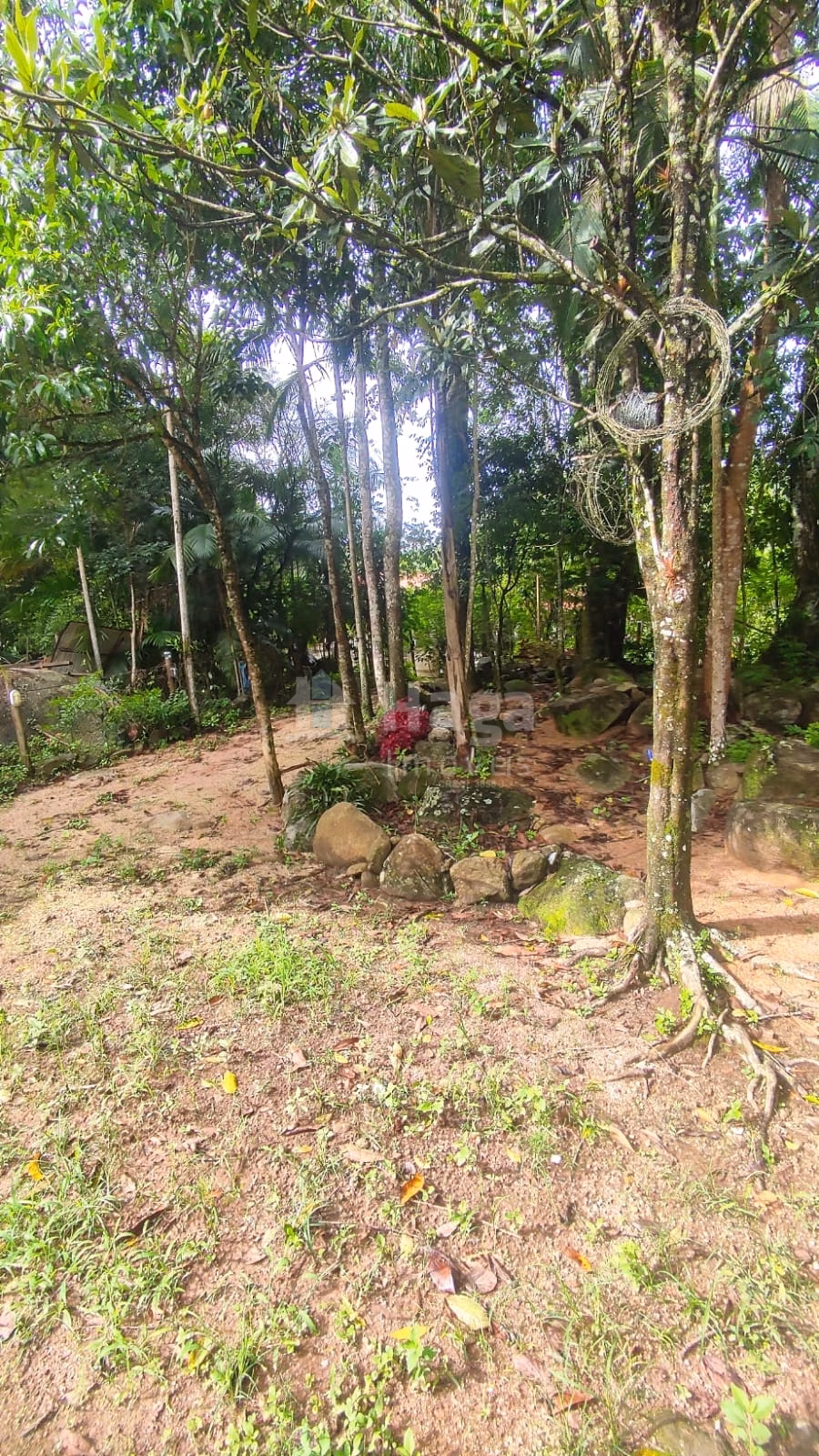 Farm of 900 m² in São João Batista, SC, Brazil