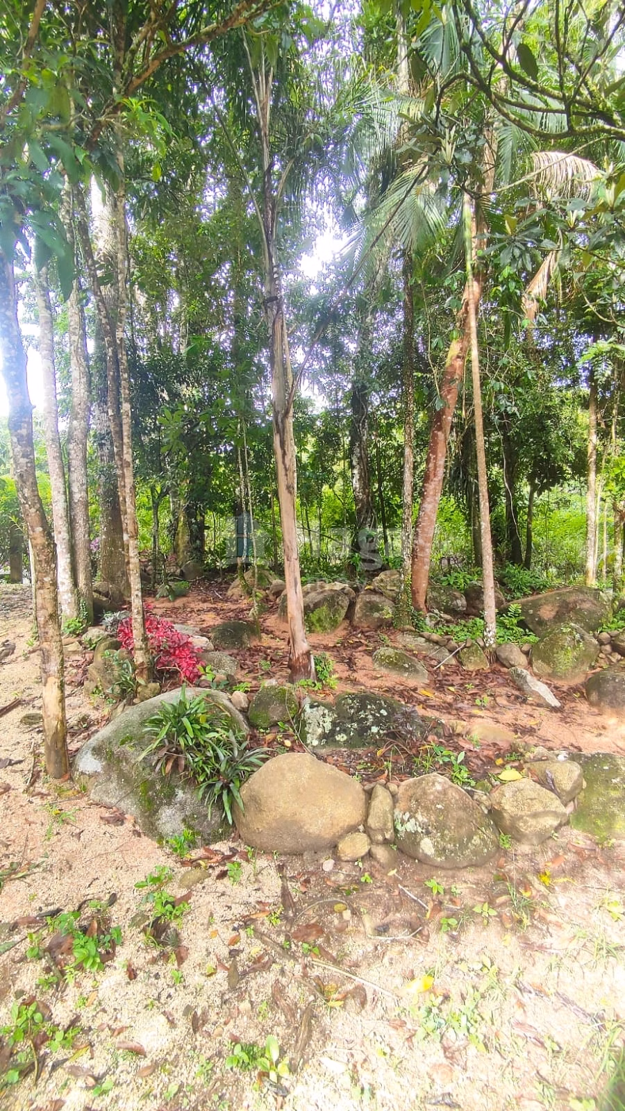 Farm of 900 m² in São João Batista, SC, Brazil