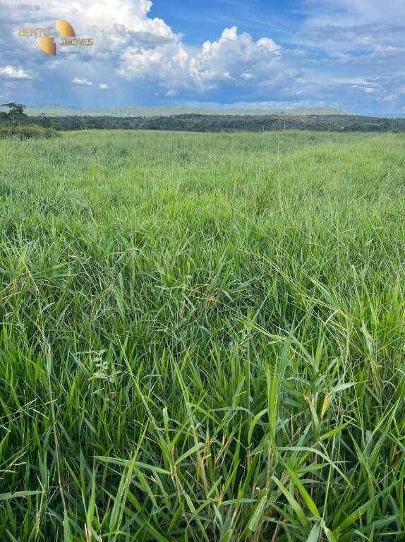 Fazenda de 214 ha em Planalto da Serra, MT