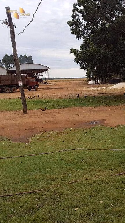 Farm of 7,957 acres in Paranatinga, MT, Brazil