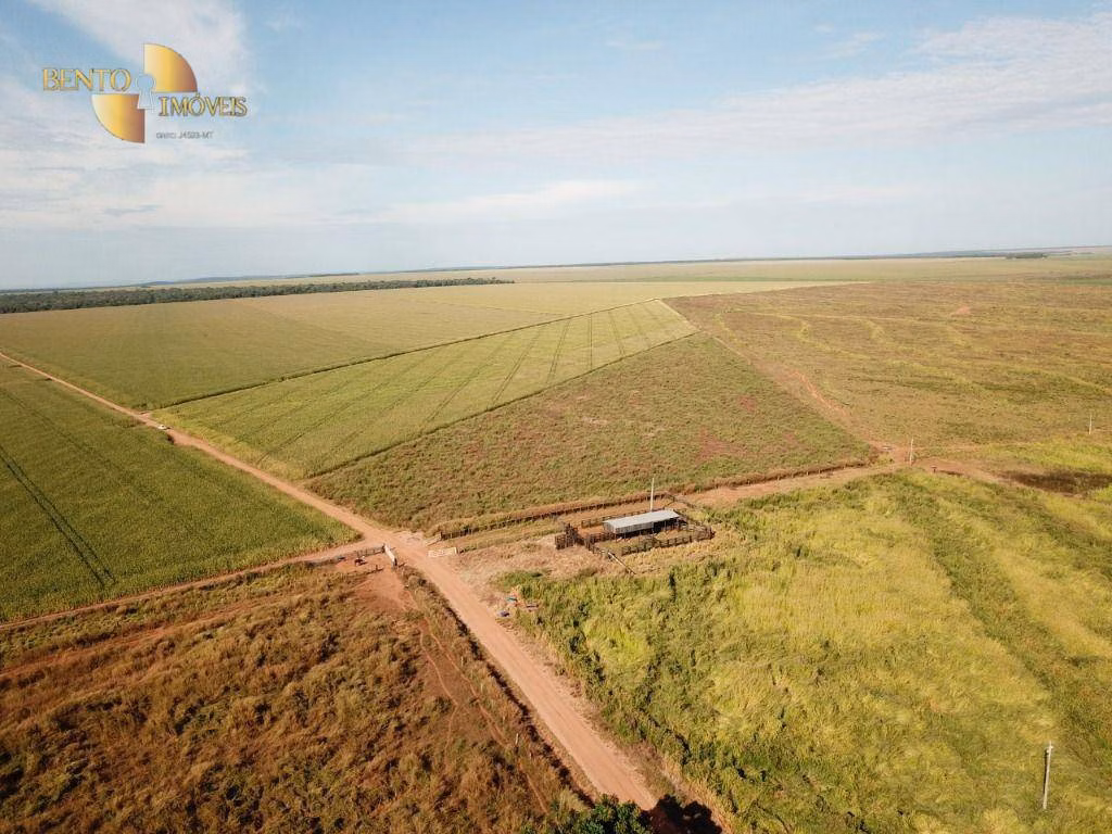 Farm of 7,957 acres in Paranatinga, MT, Brazil