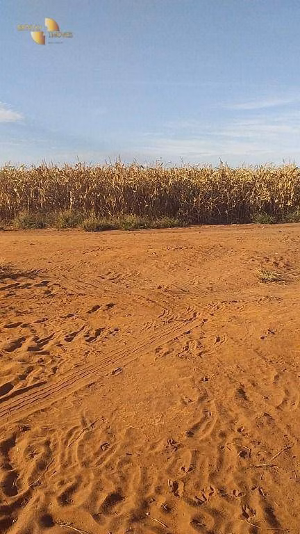 Farm of 7,957 acres in Paranatinga, MT, Brazil