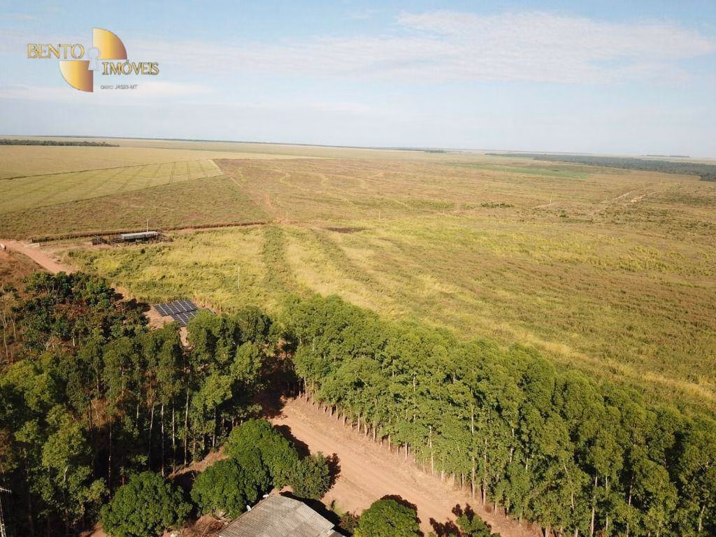 Farm of 7,957 acres in Paranatinga, MT, Brazil