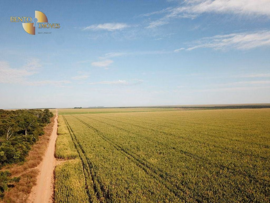 Farm of 7,957 acres in Paranatinga, MT, Brazil