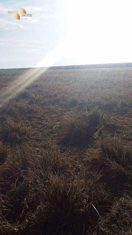 Farm of 7,957 acres in Paranatinga, MT, Brazil