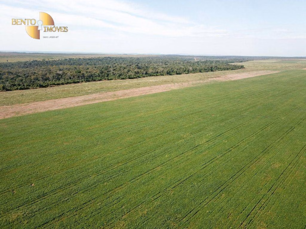 Farm of 7,957 acres in Paranatinga, MT, Brazil