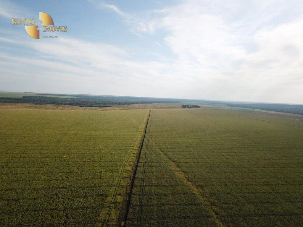 Farm of 7,957 acres in Paranatinga, MT, Brazil