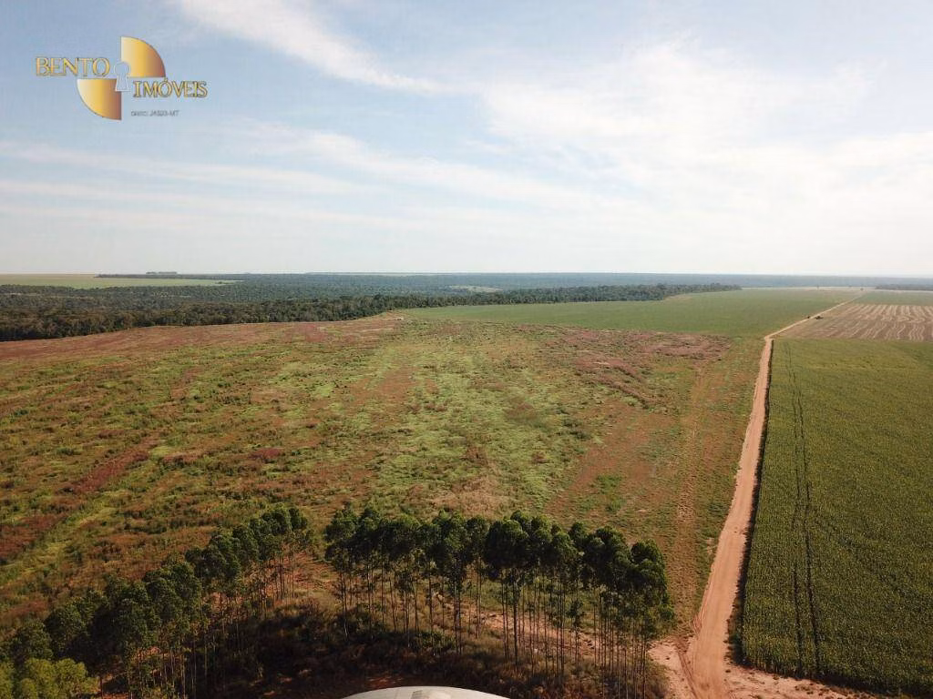 Fazenda de 3.220 ha em Paranatinga, MT