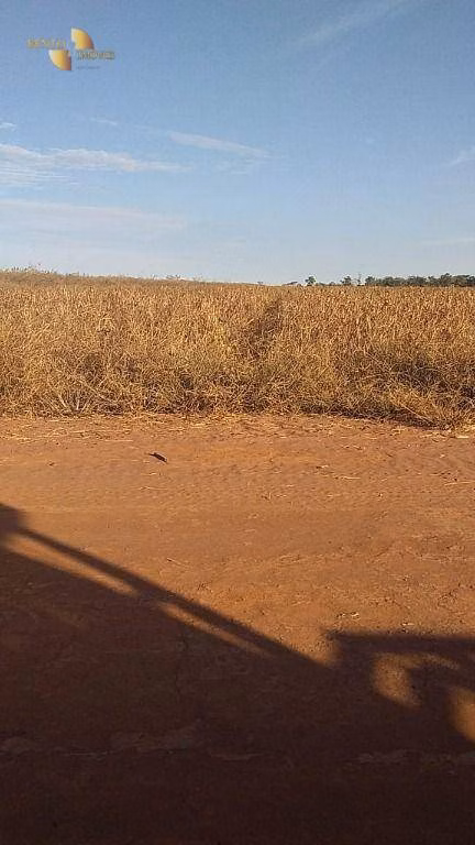 Farm of 7,957 acres in Paranatinga, MT, Brazil