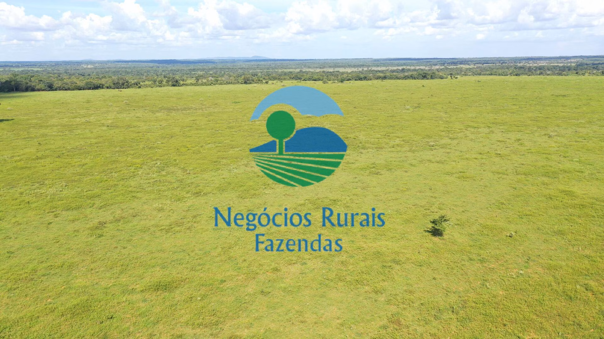 Fazenda de 464 ha em Novo Planalto, GO