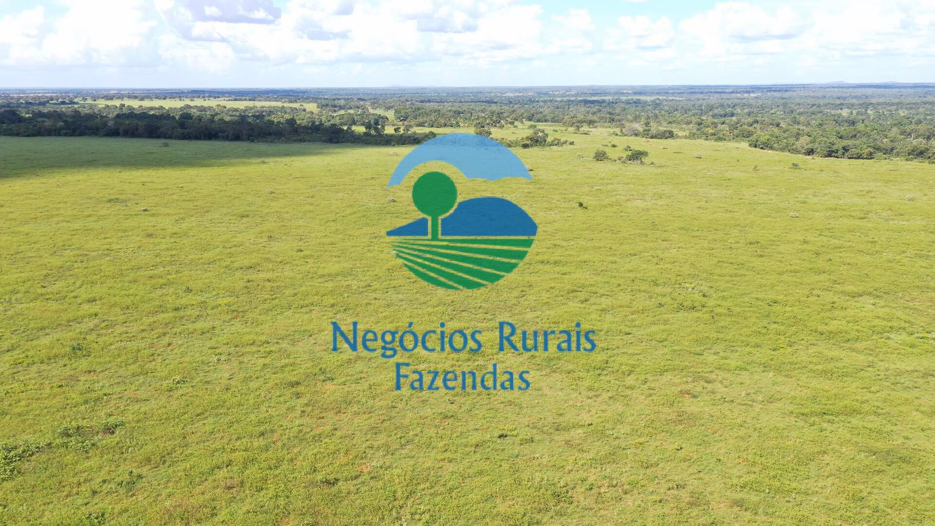 Farm of 1,147 acres in Novo Planalto, GO, Brazil
