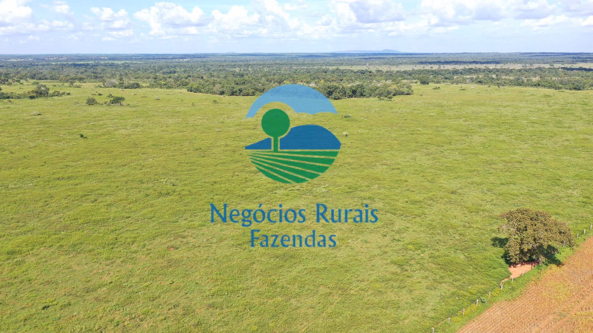 Fazenda de 464 ha em Novo Planalto, GO