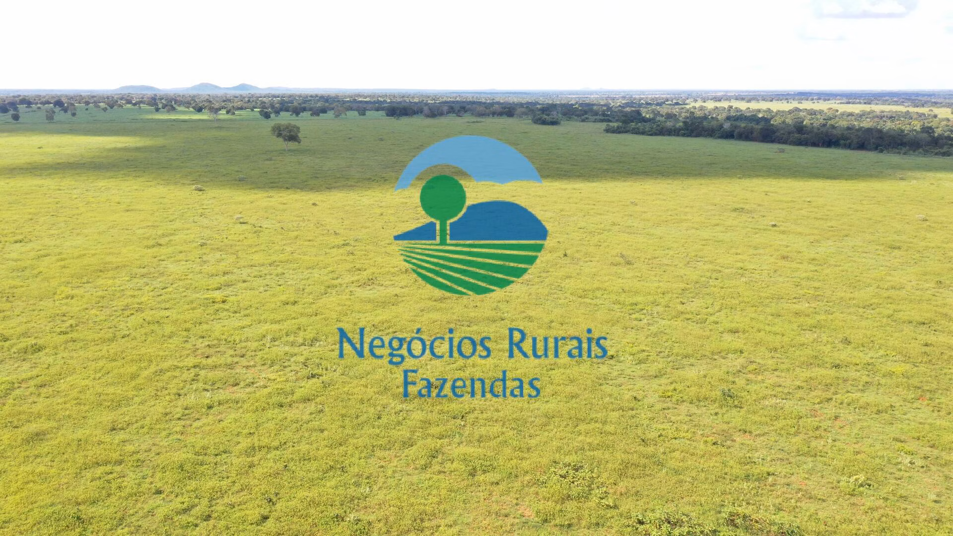 Farm of 1,147 acres in Novo Planalto, GO, Brazil