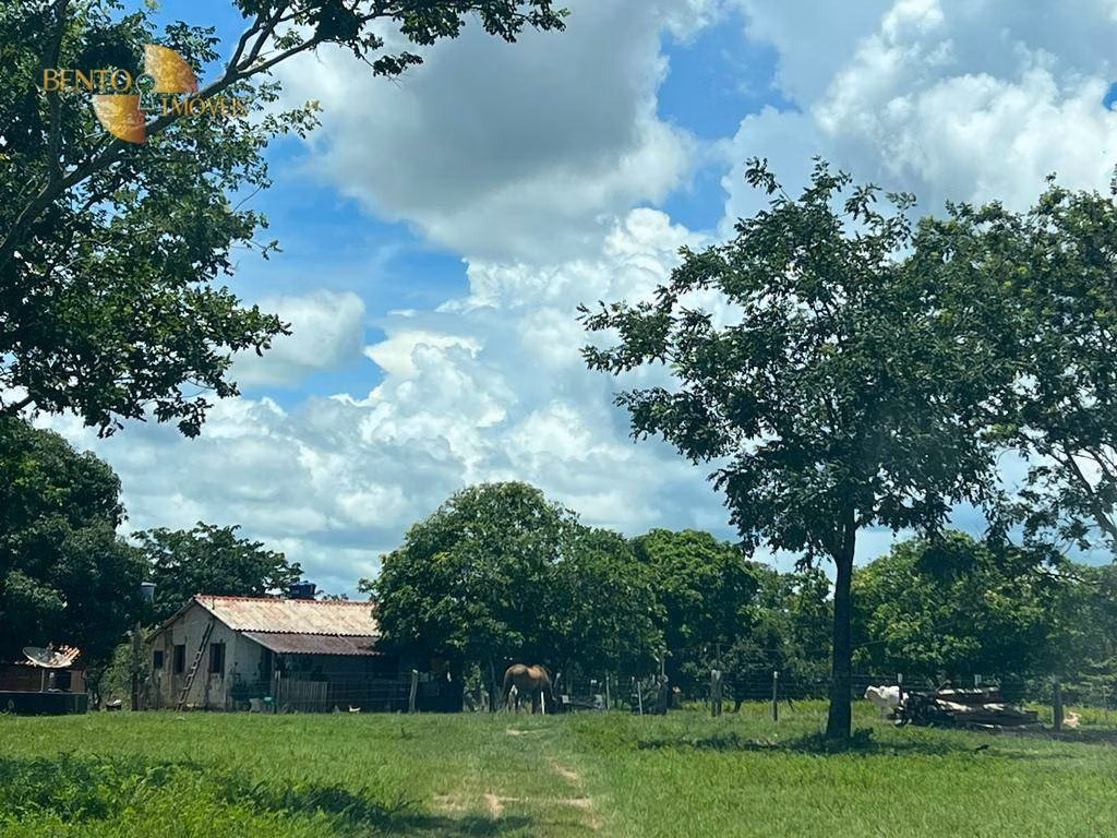 Fazenda de 100 ha em Nobres, MT