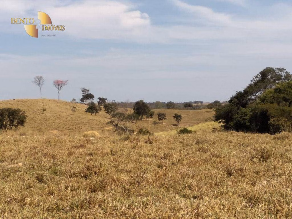 Fazenda de 411 ha em Nobres, MT