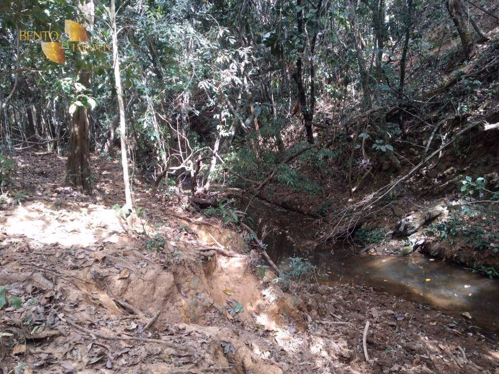 Fazenda de 411 ha em Nobres, MT