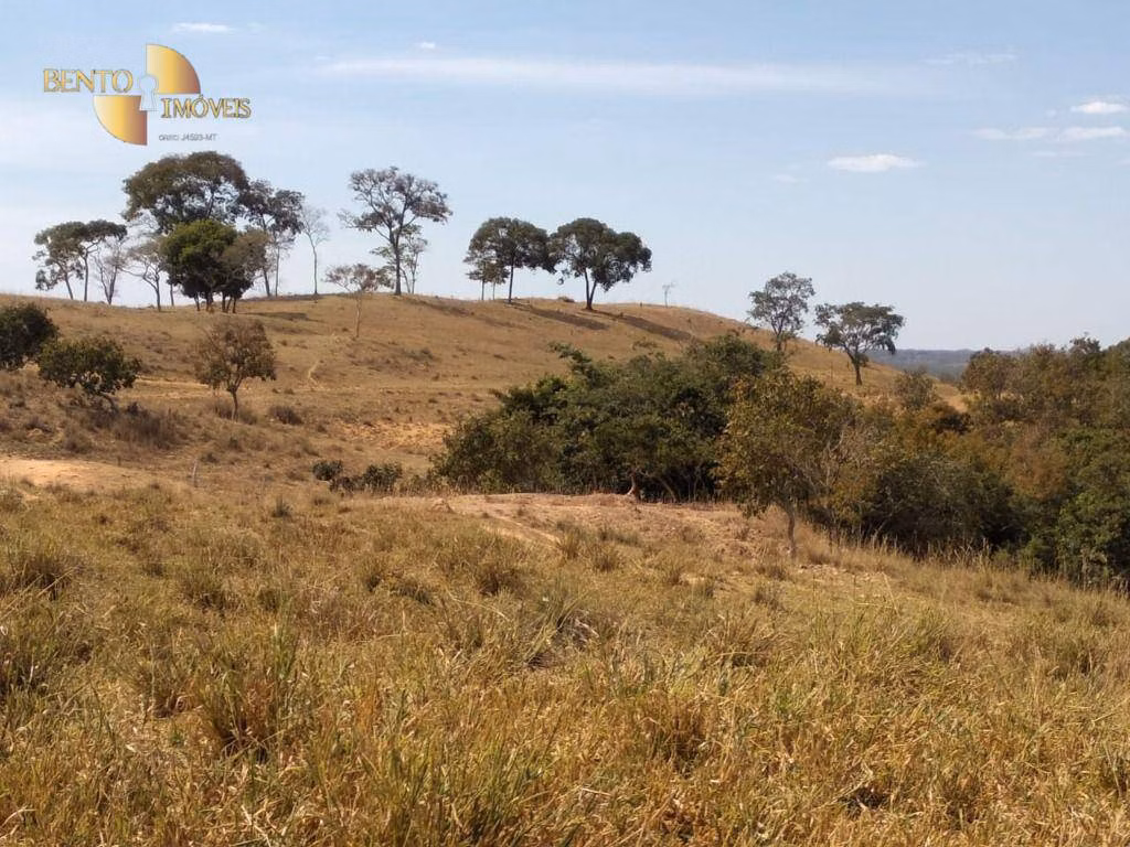 Fazenda de 411 ha em Nobres, MT