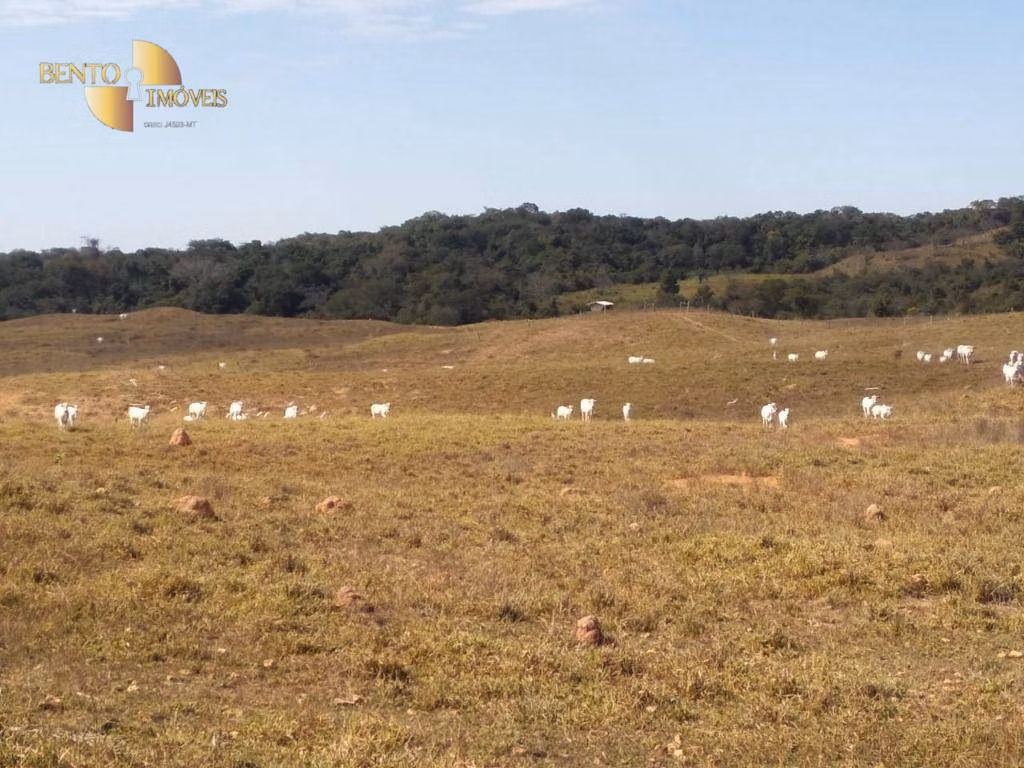Fazenda de 411 ha em Nobres, MT