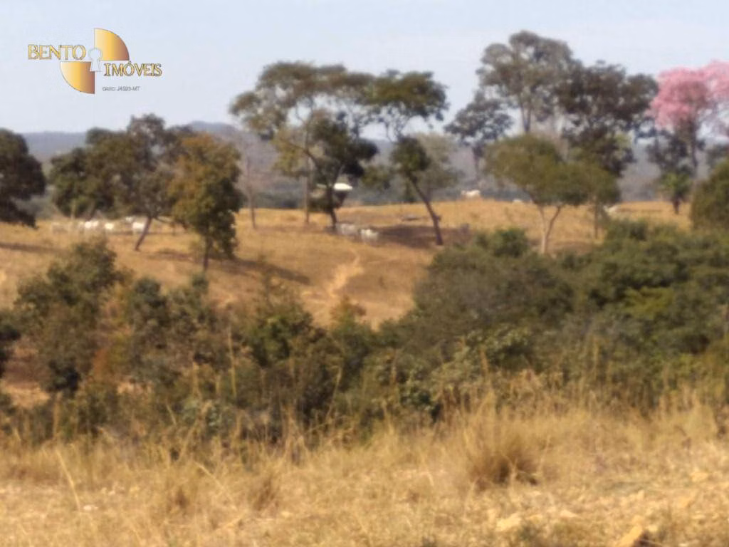 Fazenda de 411 ha em Nobres, MT