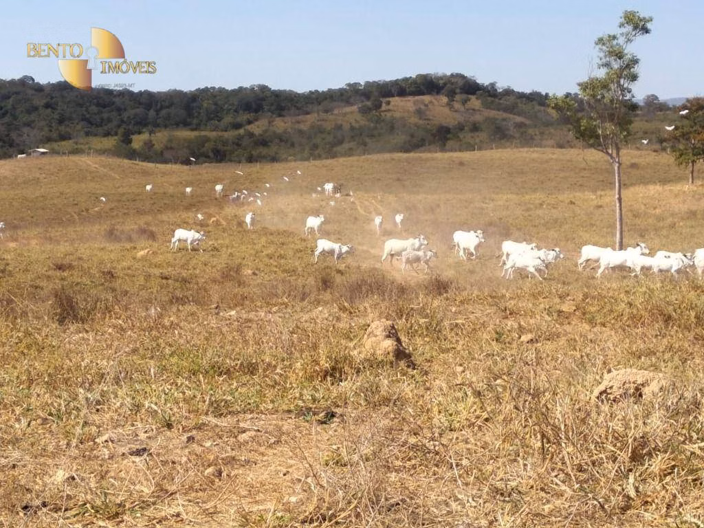 Fazenda de 411 ha em Nobres, MT