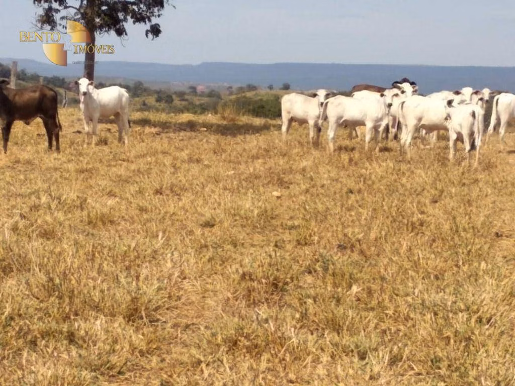 Fazenda de 411 ha em Nobres, MT