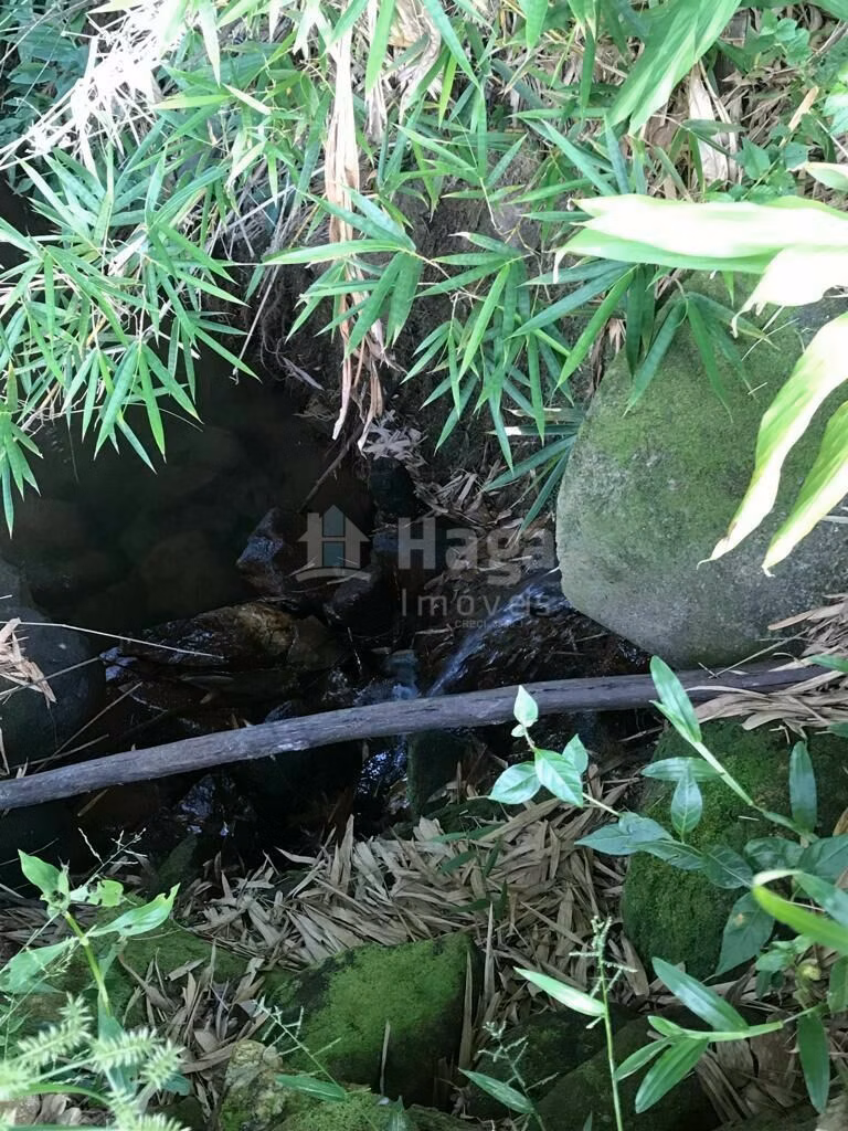Terreno de 6 ha em Guabiruba, SC