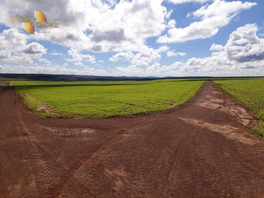 Fazenda de 8.000 ha em Primavera do Leste, MT