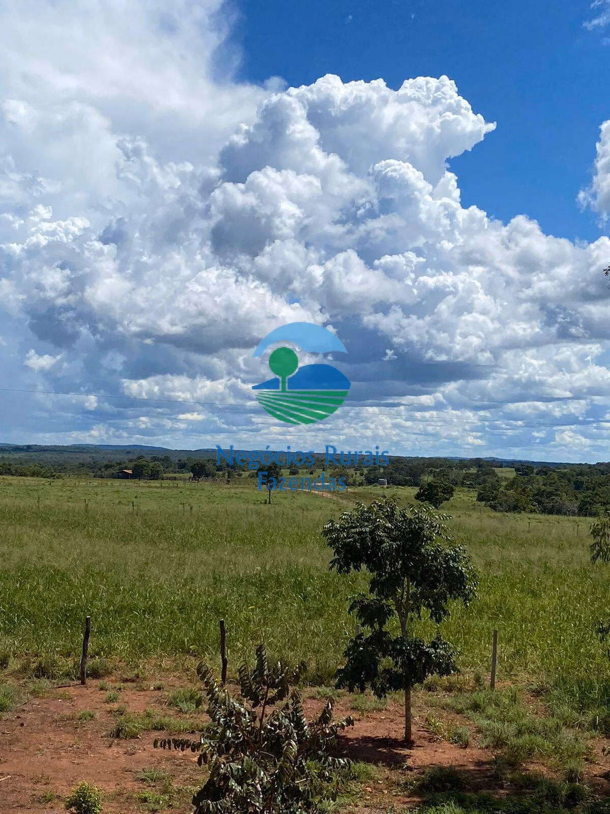 Fazenda de 1.342 ha em São Valério, TO