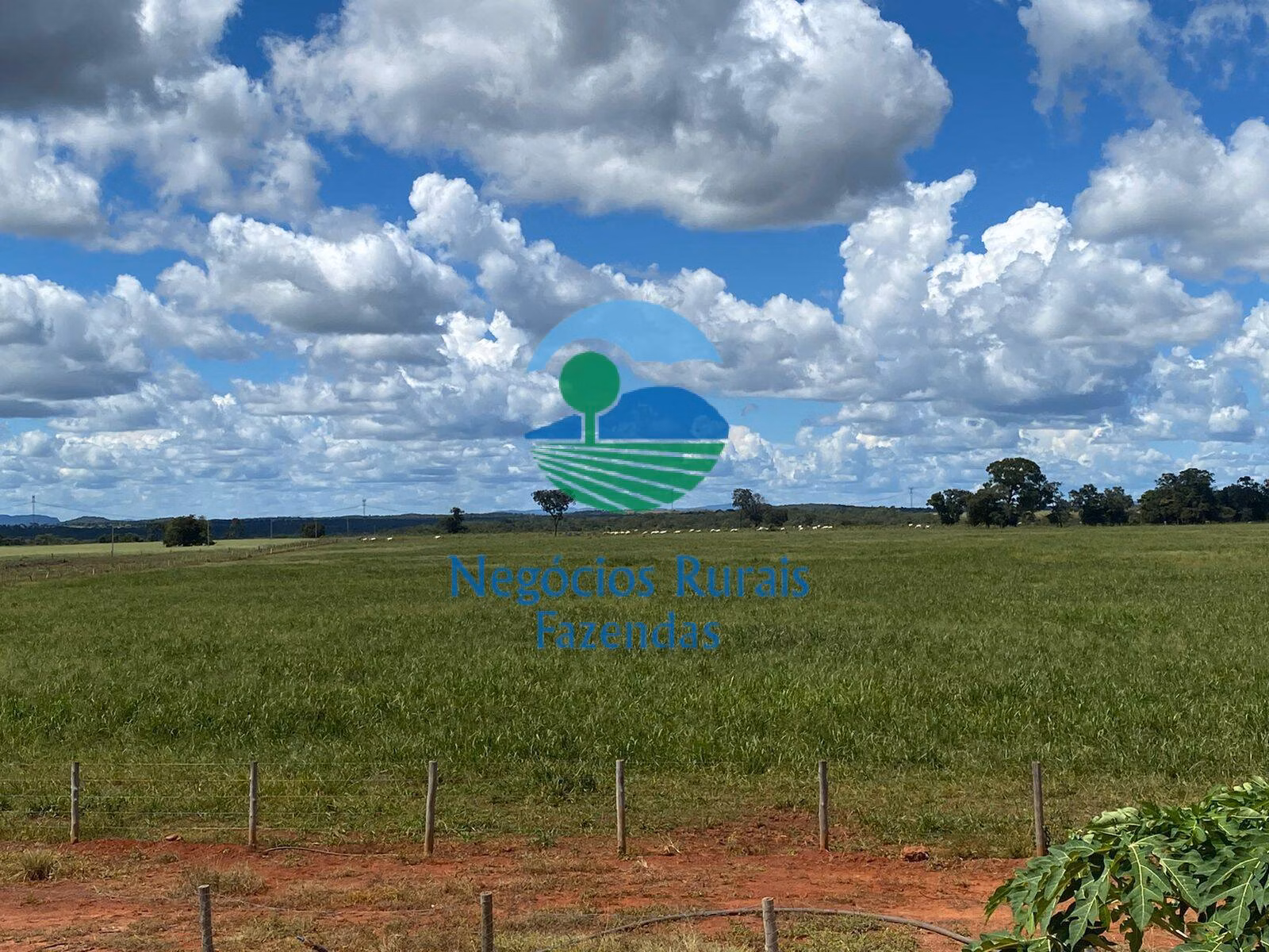 Fazenda de 1.342 ha em São Valério, TO