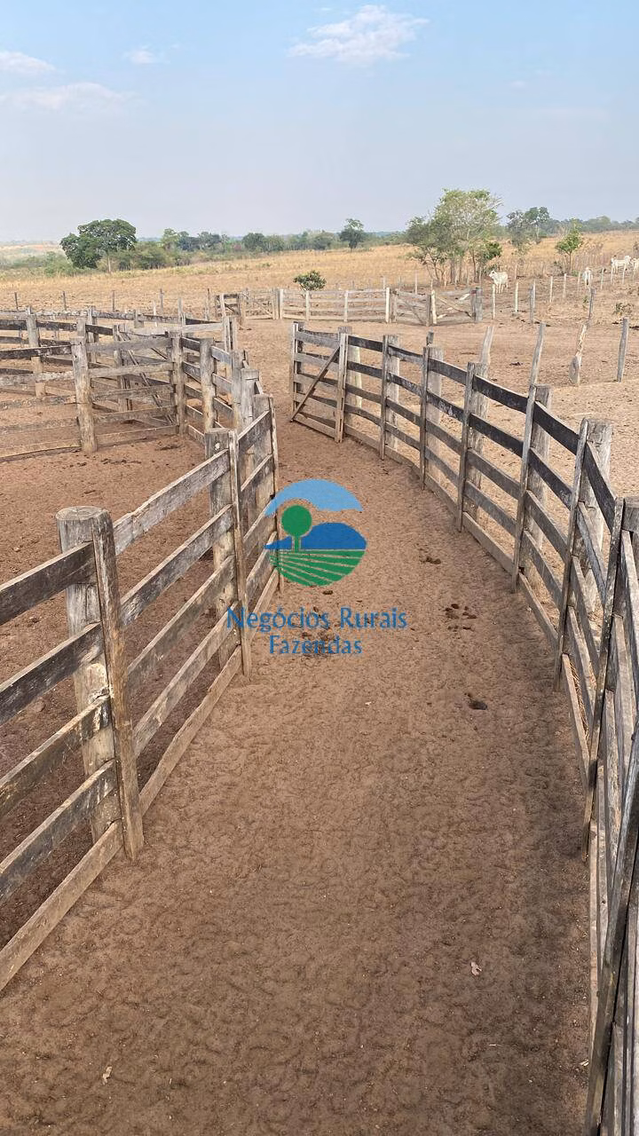 Fazenda de 1.342 ha em São Valério, TO