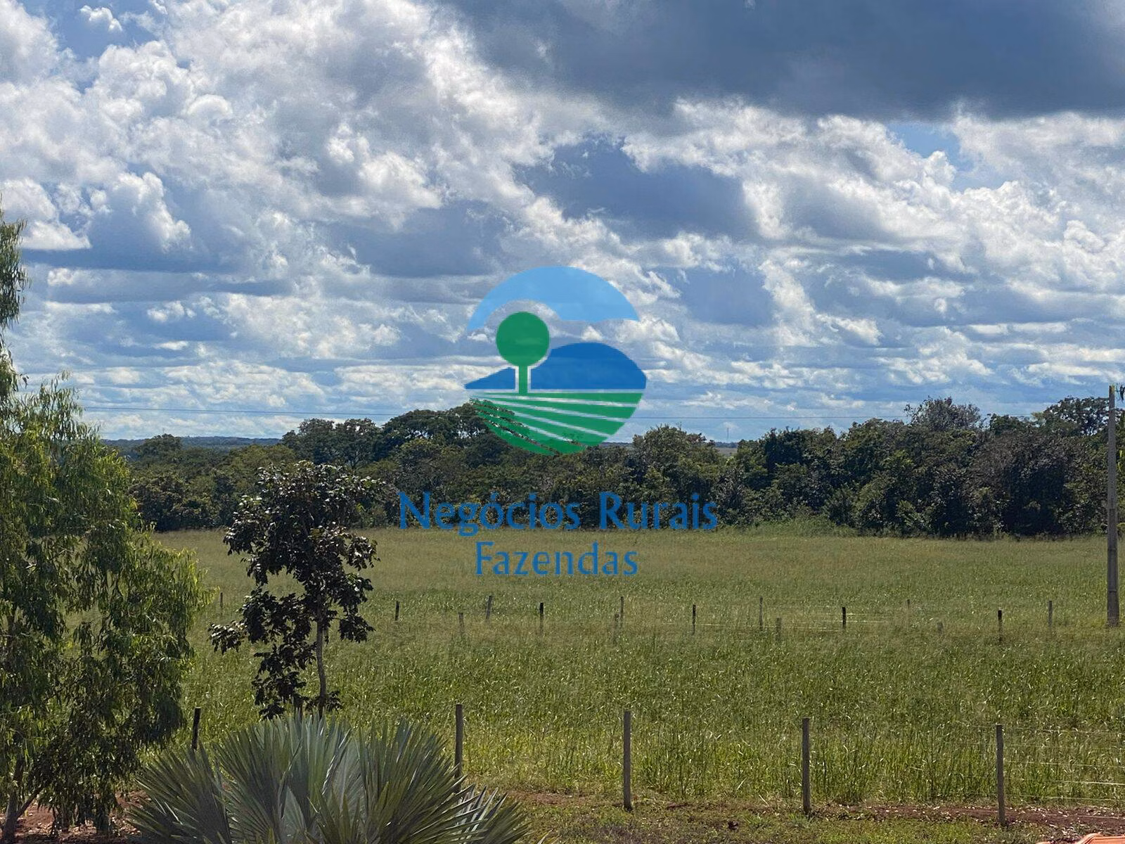 Fazenda de 1.342 ha em São Valério, TO